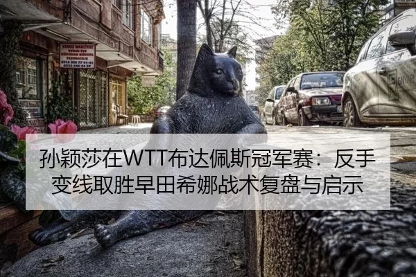 孙颖莎在WTT布达佩斯冠军赛：反手变线取胜早田希娜战术复盘与启示