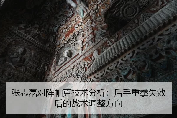 张志磊对阵帕克技术分析：后手重拳失效后的战术调整方向